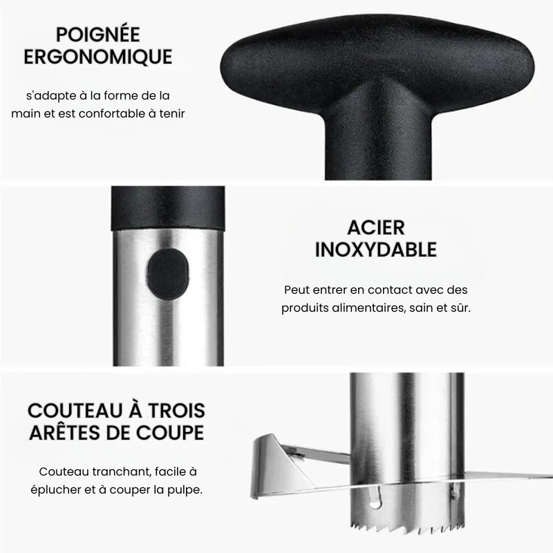 Ustensile pour couper et éplucher un ananas facilement